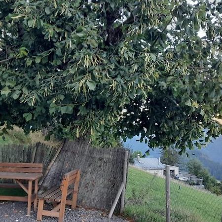 Appartement Chenille Charmant 2 Pieces Plein Pied Avec Jardin Et Vue Magnifique Leysin Exterior photo