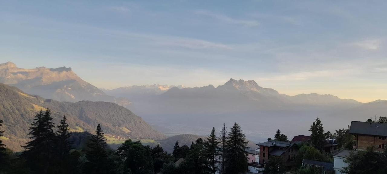 Appartement Chenille Charmant 2 Pieces Plein Pied Avec Jardin Et Vue Magnifique Leysin Exterior photo